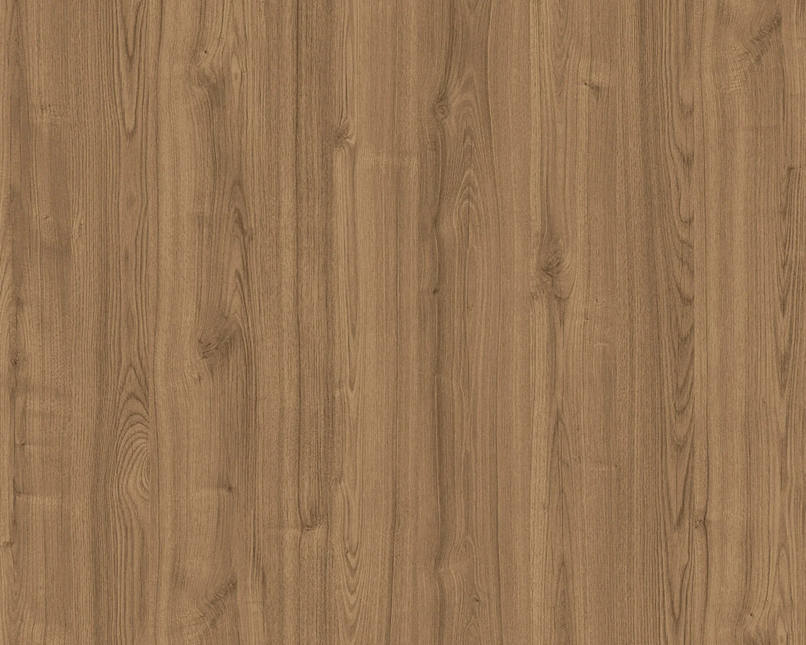 WY 11259D - LAMITAK HPL 4'x10' | MIO NEVADA ELM
