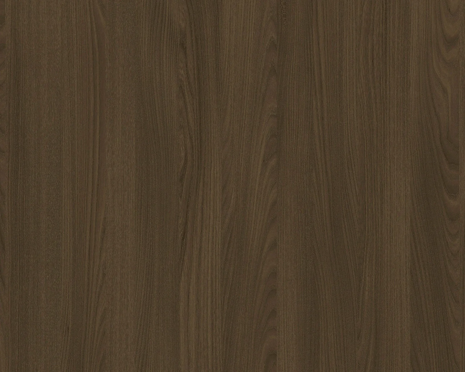 WY 4263X - LAMITAK HPL 4'x8' | BRETT HOFFMANN ELM