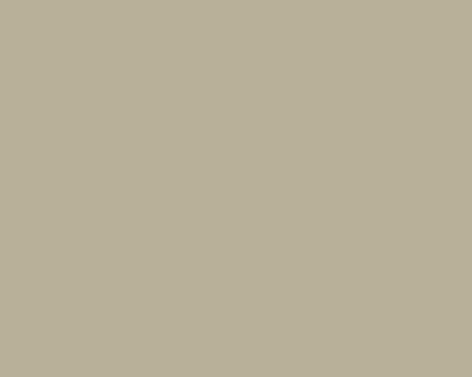 HPL Lamitak SCA 5128D NUTMEG motif Solids 4'x8' / 1220 x 2440mm
