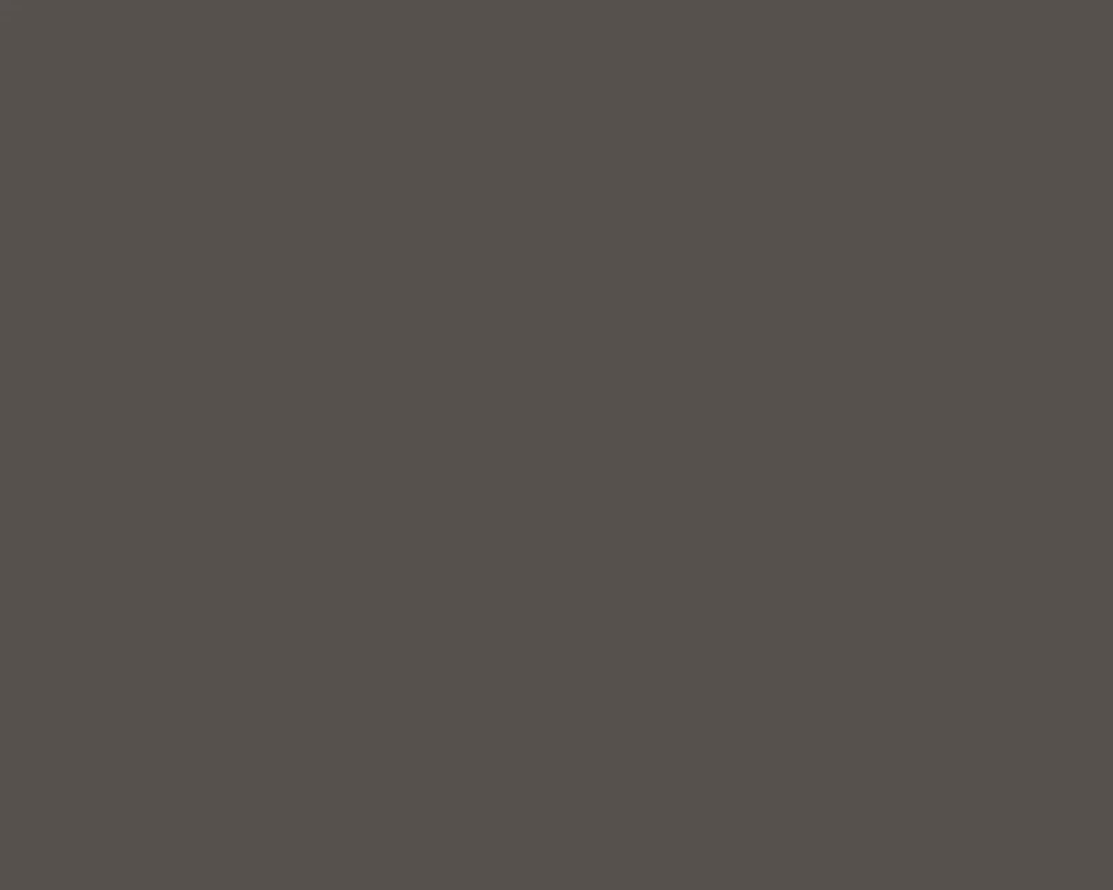HPL Lamitak ATS 11165M TRUFFLE PRO motif Protak 4'x10' / 1220 x 3050mm