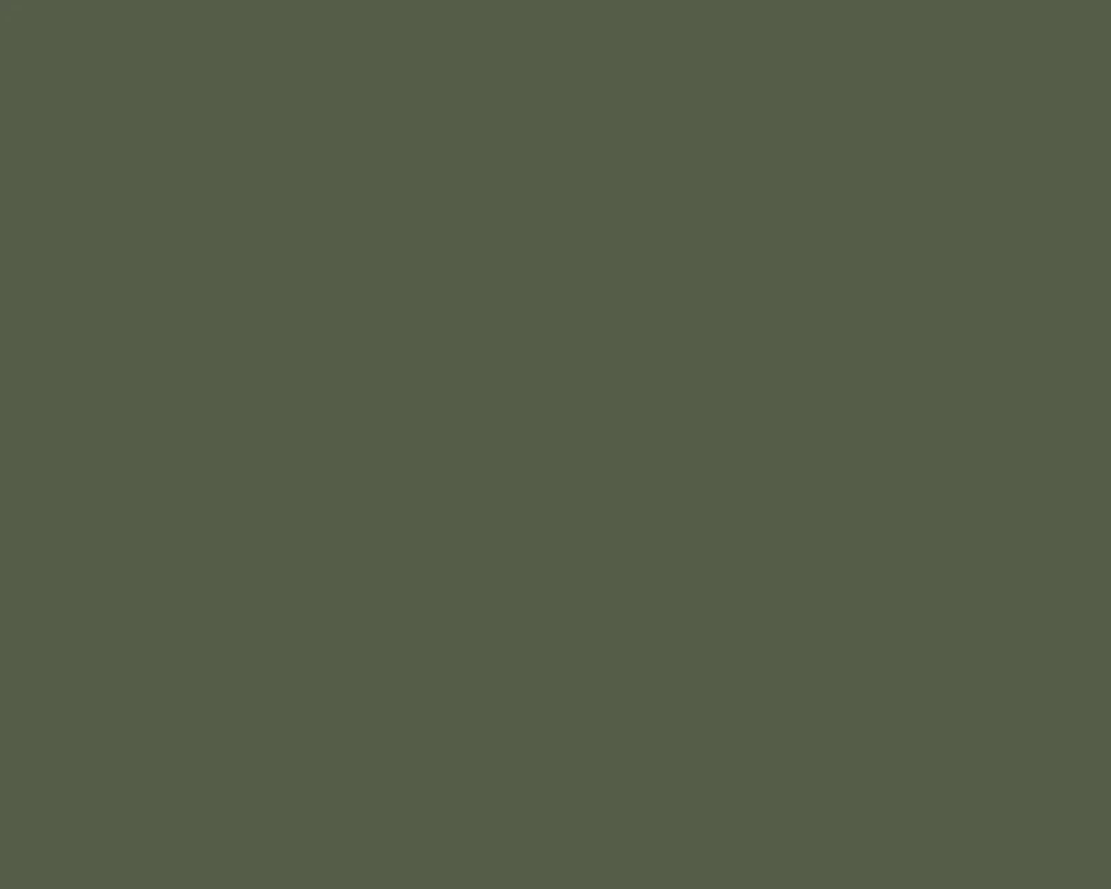 HPL Lamitak ATS 11178M MOSS PRO motif Protak 4'x10' / 1220 x 3050mm